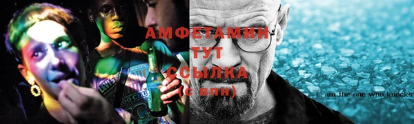 дживик Бородино