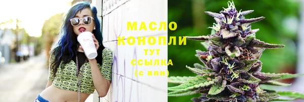 дживик Бородино