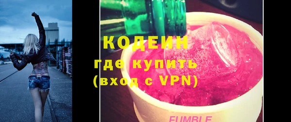 дживик Бородино