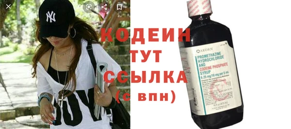 дживик Бородино