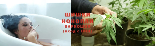 дживик Бородино