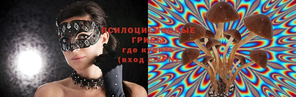 дживик Бородино