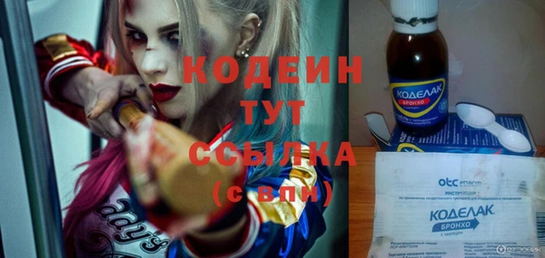 дживик Бородино