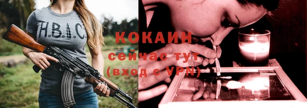 дживик Бородино