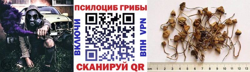 Галлюциногенные грибы Cubensis  где купить наркоту  Княгинино 